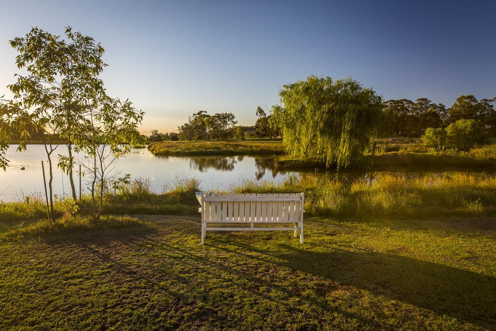 Tonic Hotel Lovedale Exterior photo